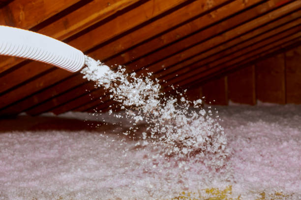 Best Cellulose Insulation  in Alton, TX