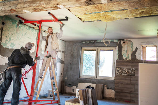 Best Affordable Insulation Services  in Alton, TX