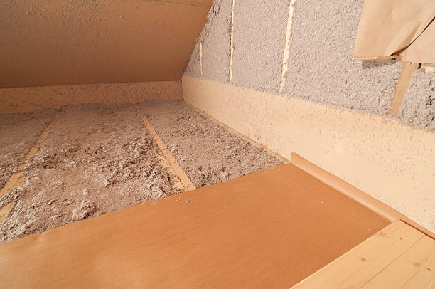 Best Local Insulation Services  in Alton, TX