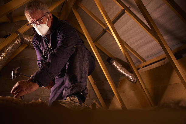 Best Insulation Contractor Near Me  in Alton, TX